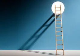 14-faktorun-kac-tanesi-var