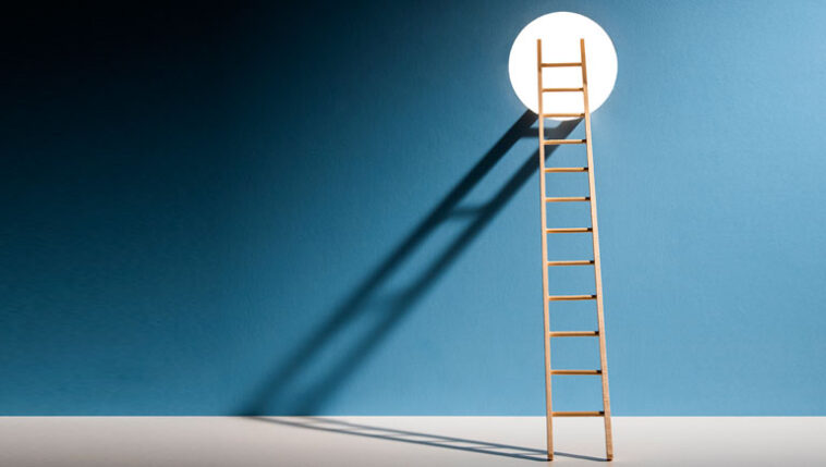 14-faktorun-kac-tanesi-var