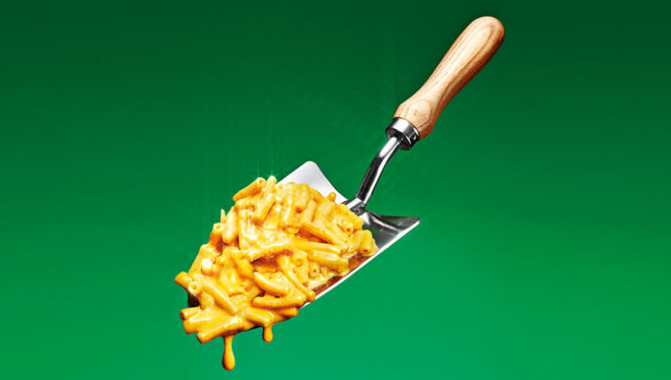 Annie’s’in-Tarim-Hamlesi