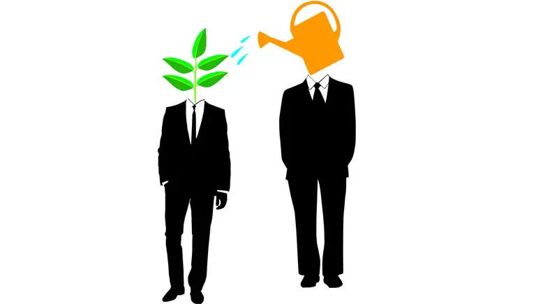 keske-mentorum-olsaniz