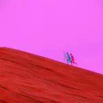 Feedback-tek-basina-yeterli-degil,-“Feedforward”-da-cok-onemli