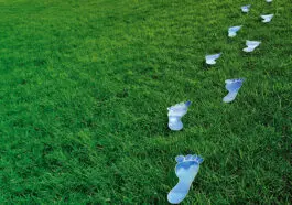 sifir-karbon-pesinde