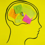 liderlerin-dijital-anlayis-karnesi