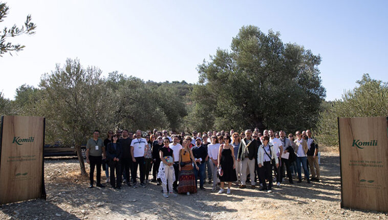 komili-zeytin-hasati-