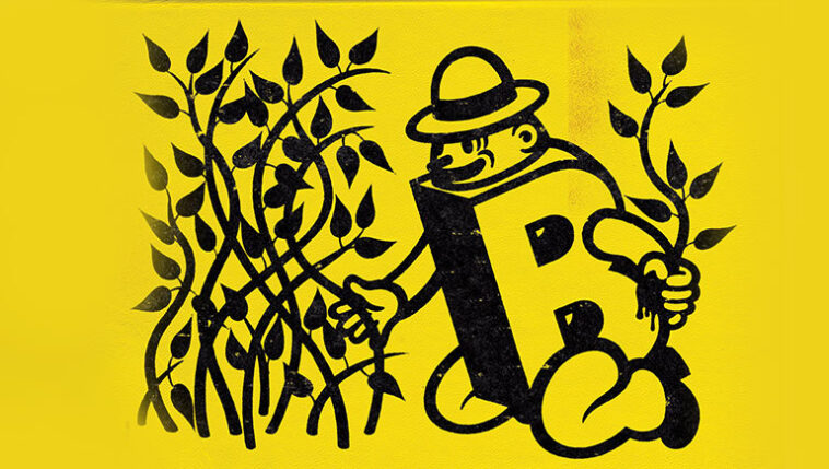 next-arka-bahce-iyilik