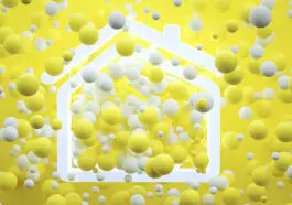 surdurulebilir-carbon