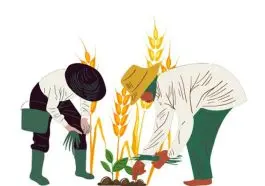 insanca-bir-yasam-icin-surdurulebilirlik