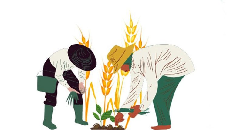 insanca-bir-yasam-icin-surdurulebilirlik