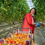 gelecegin-sektorune-buyuk-yatirim1