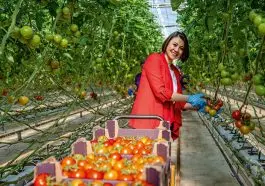 gelecegin-sektorune-buyuk-yatirim1