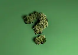 Durgunluk-işaretleri