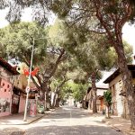 Enerjisa’nın-SENTRUM-Projesi