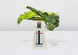 kilo-vermenin-pek-cok-yolu