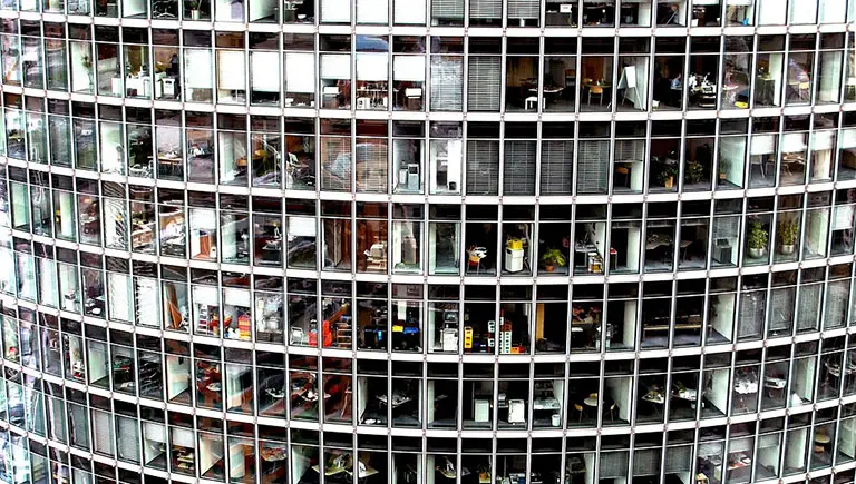 sirketlerin 1 numaralı hastaligi