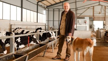 “Hayvan-yetiştirmek-giyimden-daha-kârlı”