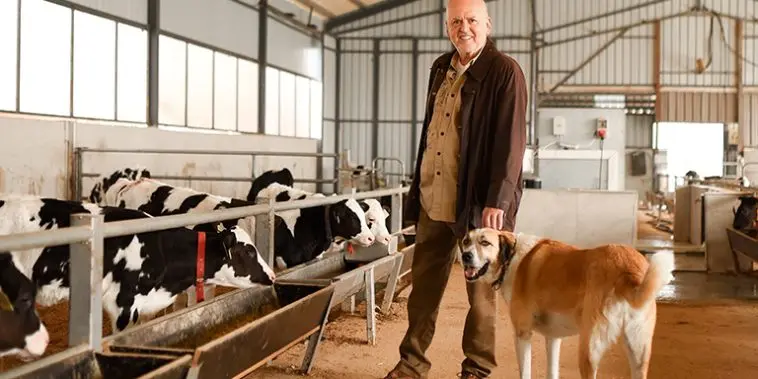 “Hayvan-yetiştirmek-giyimden-daha-kârlı”