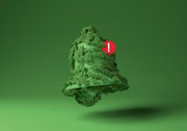 surdurulebilirlik-ceo-nun-gundeminde