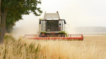 topragin-kodlarini-cosmek