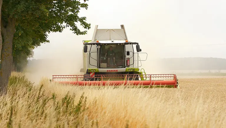 topragin-kodlarini-cosmek