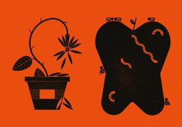 ‘İyilik-için-iş’-fikri-neden-çuvalladı-