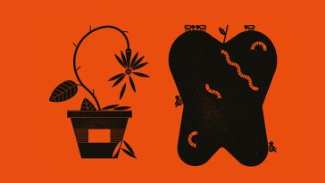 ‘İyilik-için-iş’-fikri-neden-çuvalladı-